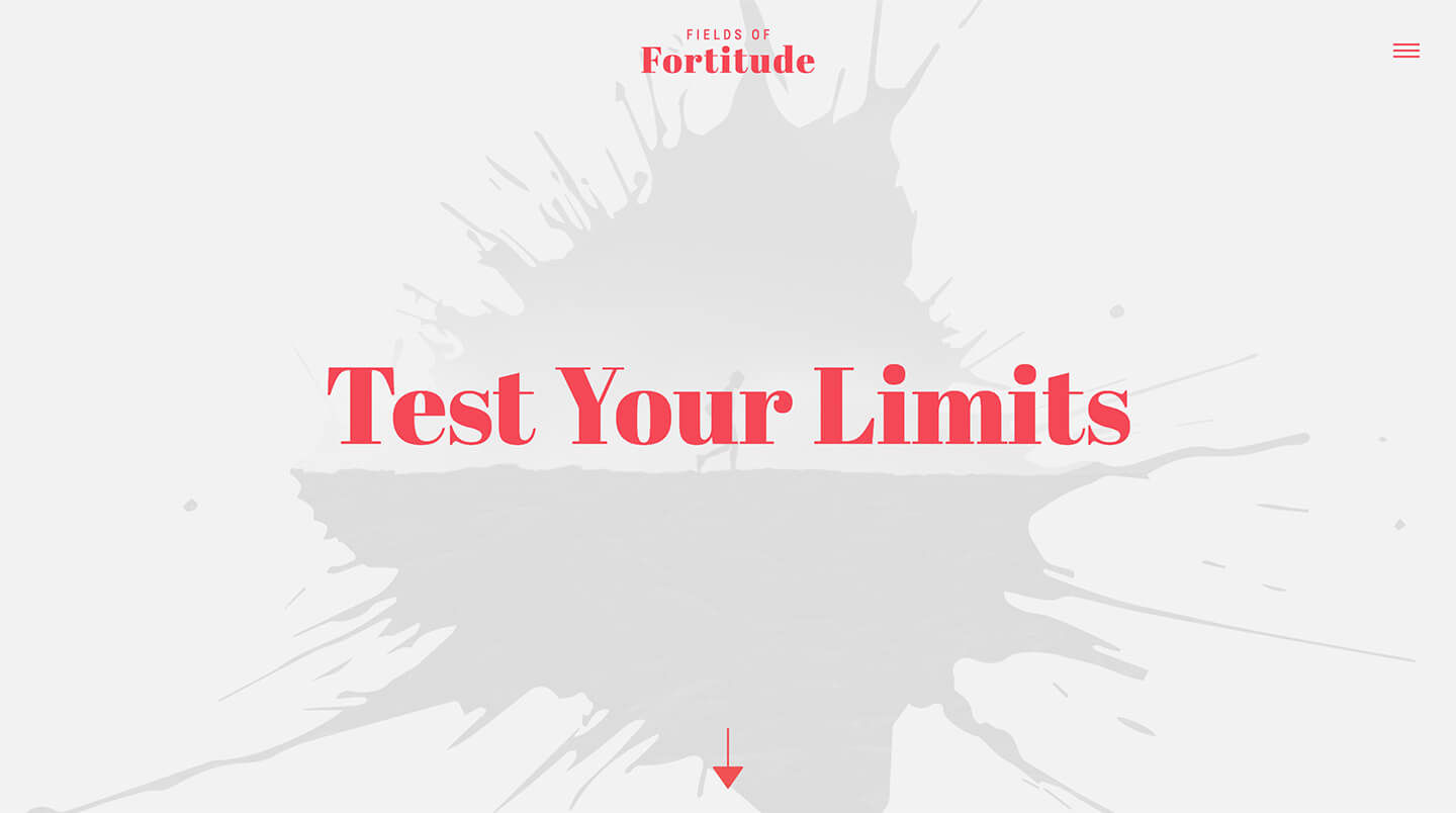 Fields of Fortitude Pro Header Screenshot