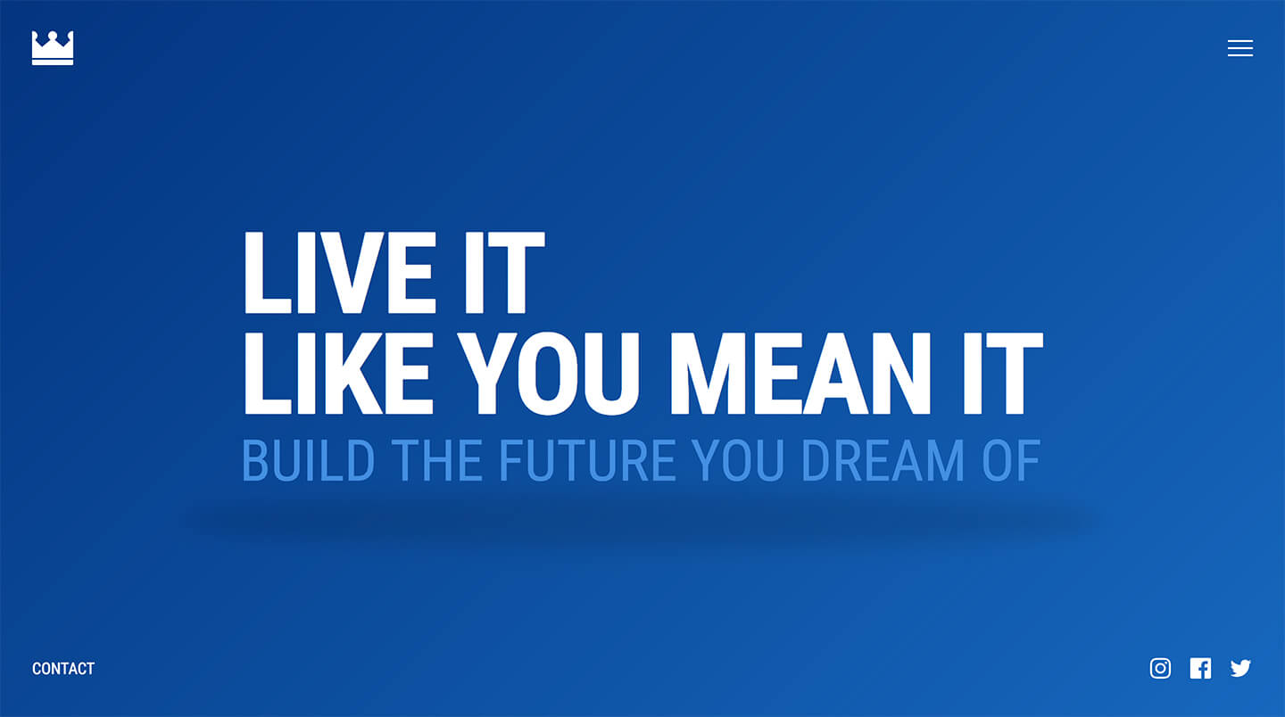 Like You Mean It Pro Header Screenshot